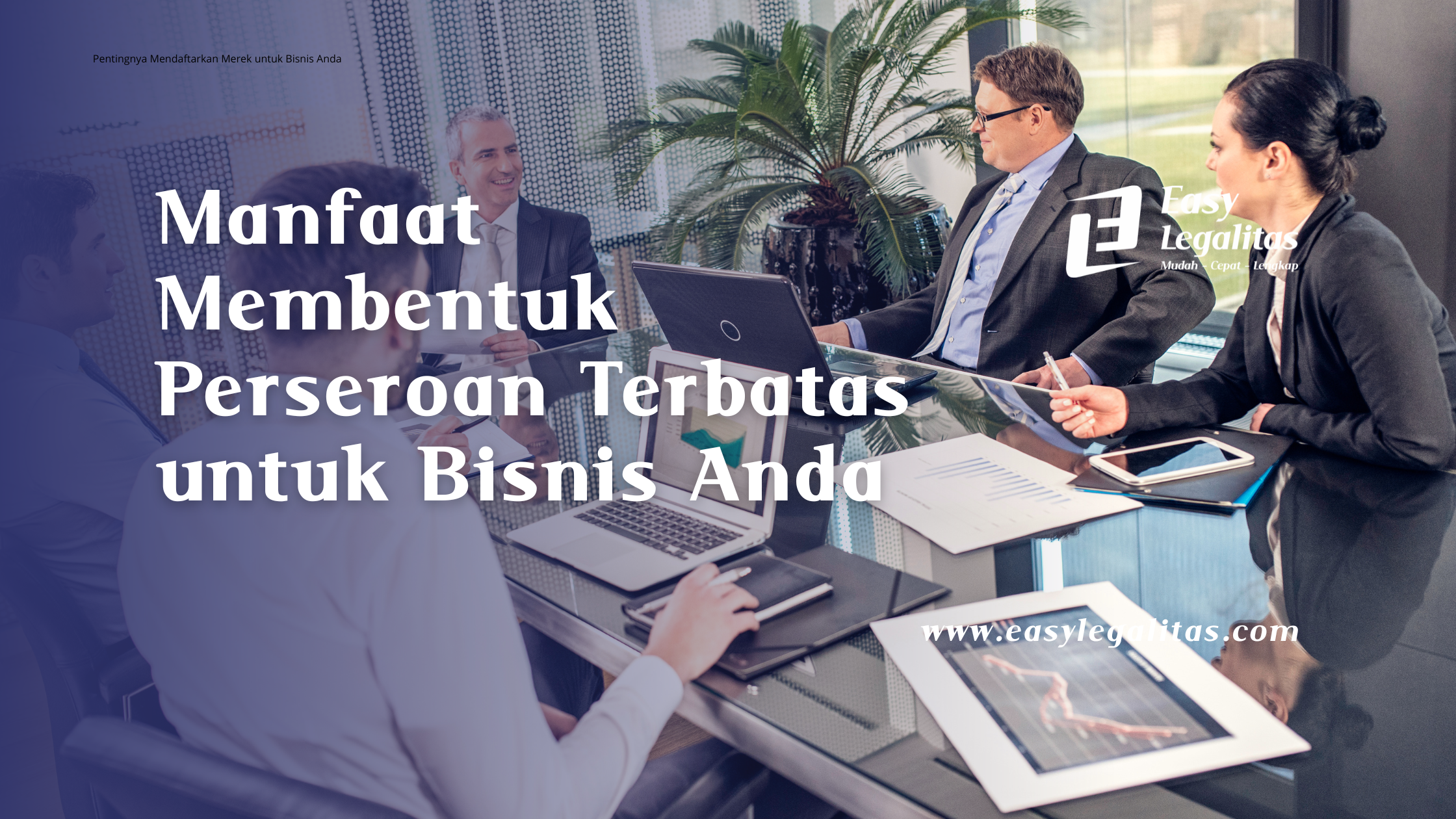 manfaat membentuk pt untuk bisnis